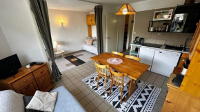 Appartement Centre Ville pied de piste Briançon
